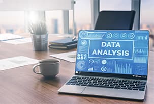 Data Analysis and Insights