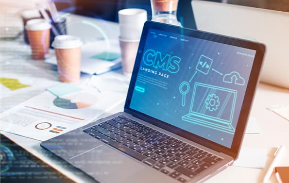 CMS Development Service