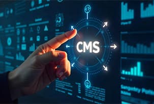 Custom CMS Development