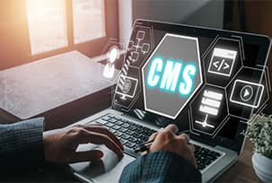 Popular CMS Platform Development