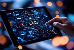 CMS Plugin & Module Development