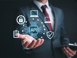 API Maintenance and Support